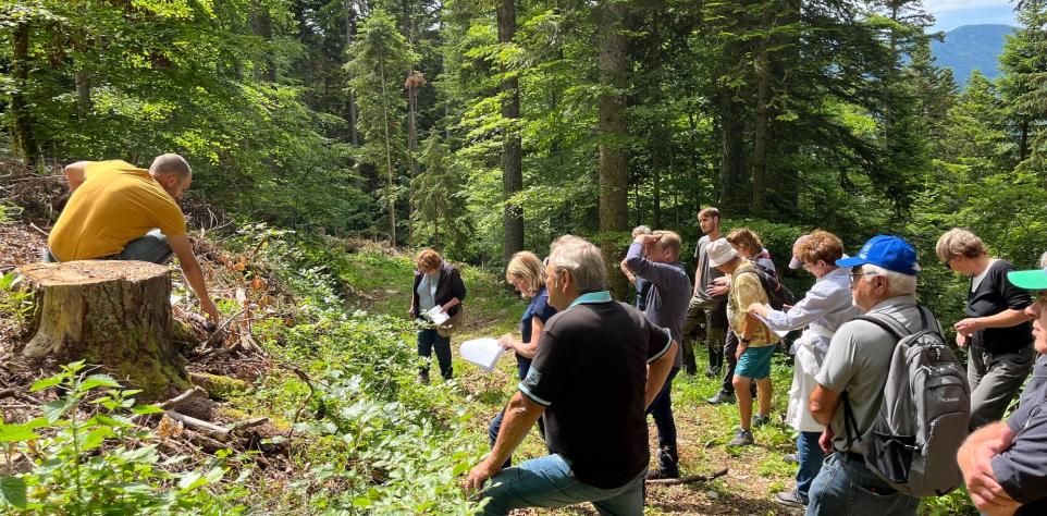 personnes dans la forêt qui écoutent quelqu'un parler