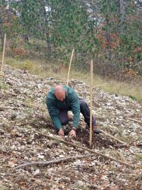 un homme vêtu de vert plante un arbuste