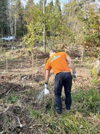 homme qui plante un arbre 