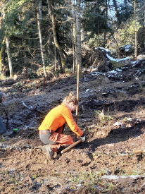 femme qui plante un arbre, elle porte un haut orange 