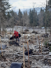 homme habillé en rouge qui couvre les arbres 