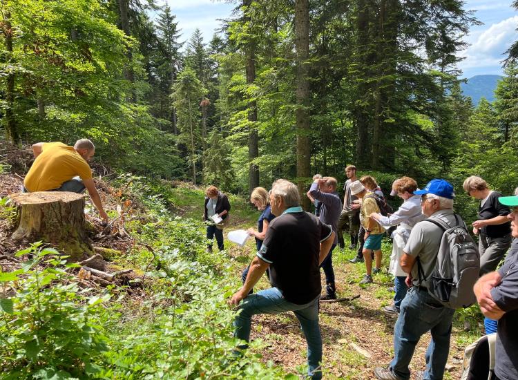 personnes dans la forêt qui écoutent quelqu'un parler 