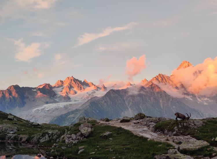 couché de soleil sur les montagnes 