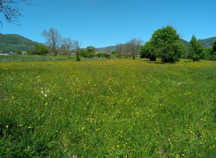 Zone du sanctuaire
